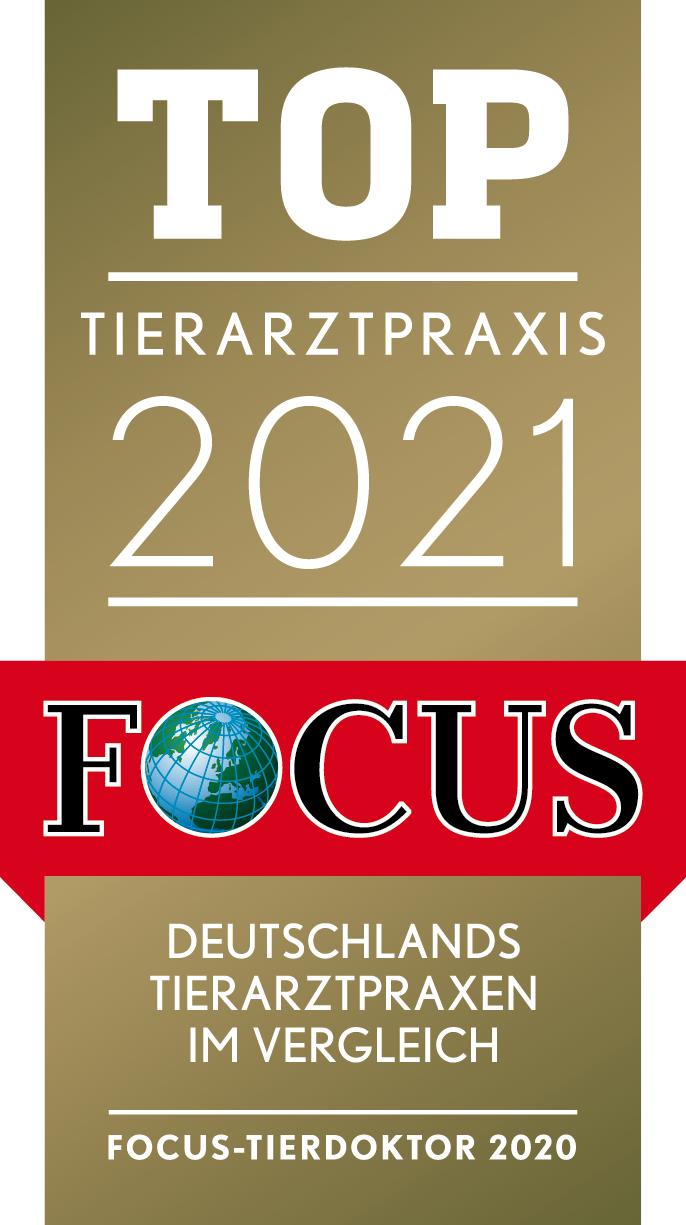 Focus TOP Tierarztpraxis 2021